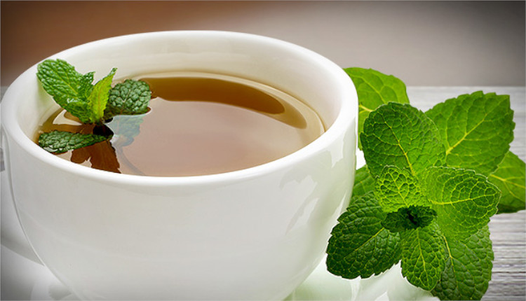 Lemon Balm Tea