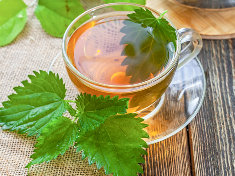 Stinging Nettle Tea